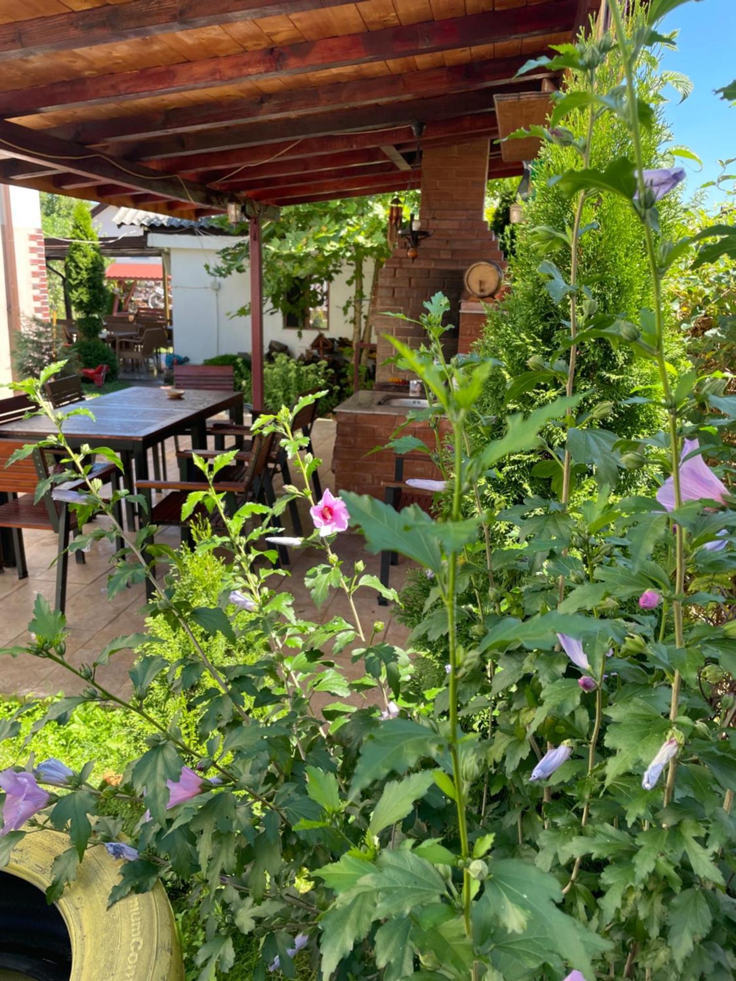 Pensiunea Casa Rica Călimăneşti Εξωτερικό φωτογραφία